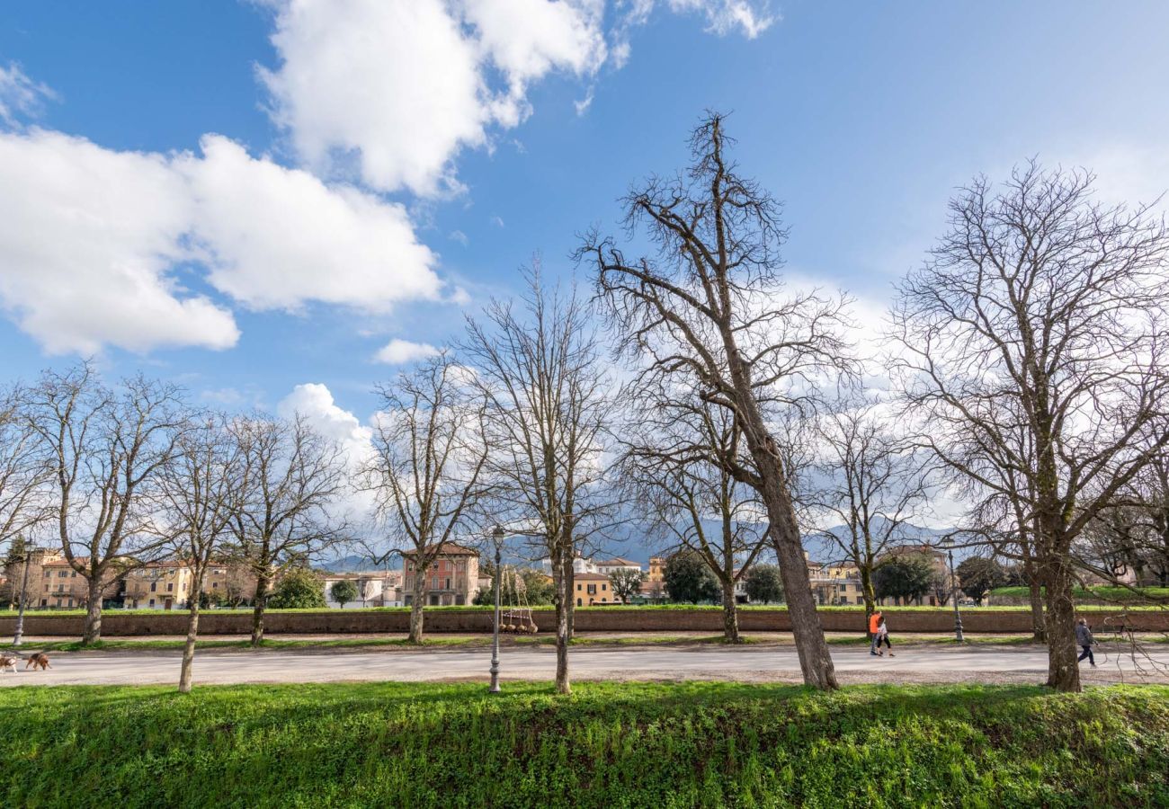 Appartamento a Lucca - Casa Daria