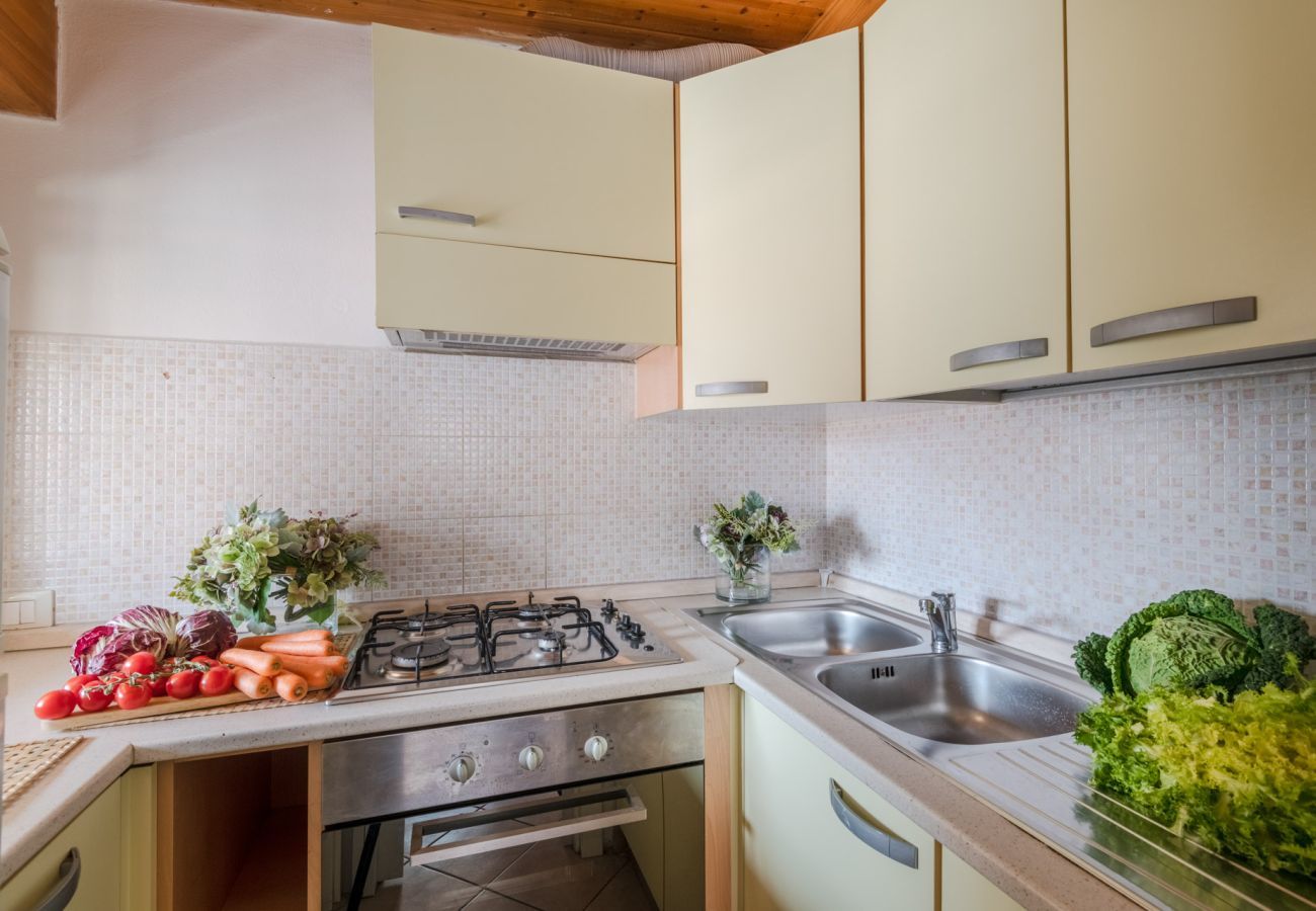 Appartamento a Viareggio - Viareggio Terrace