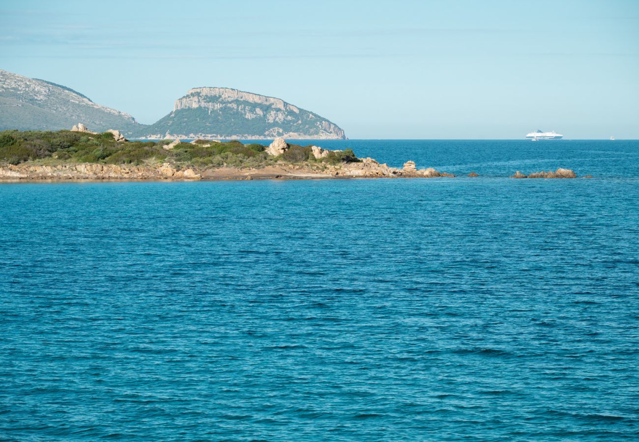 Appartamento a Olbia - Lazulino Suite