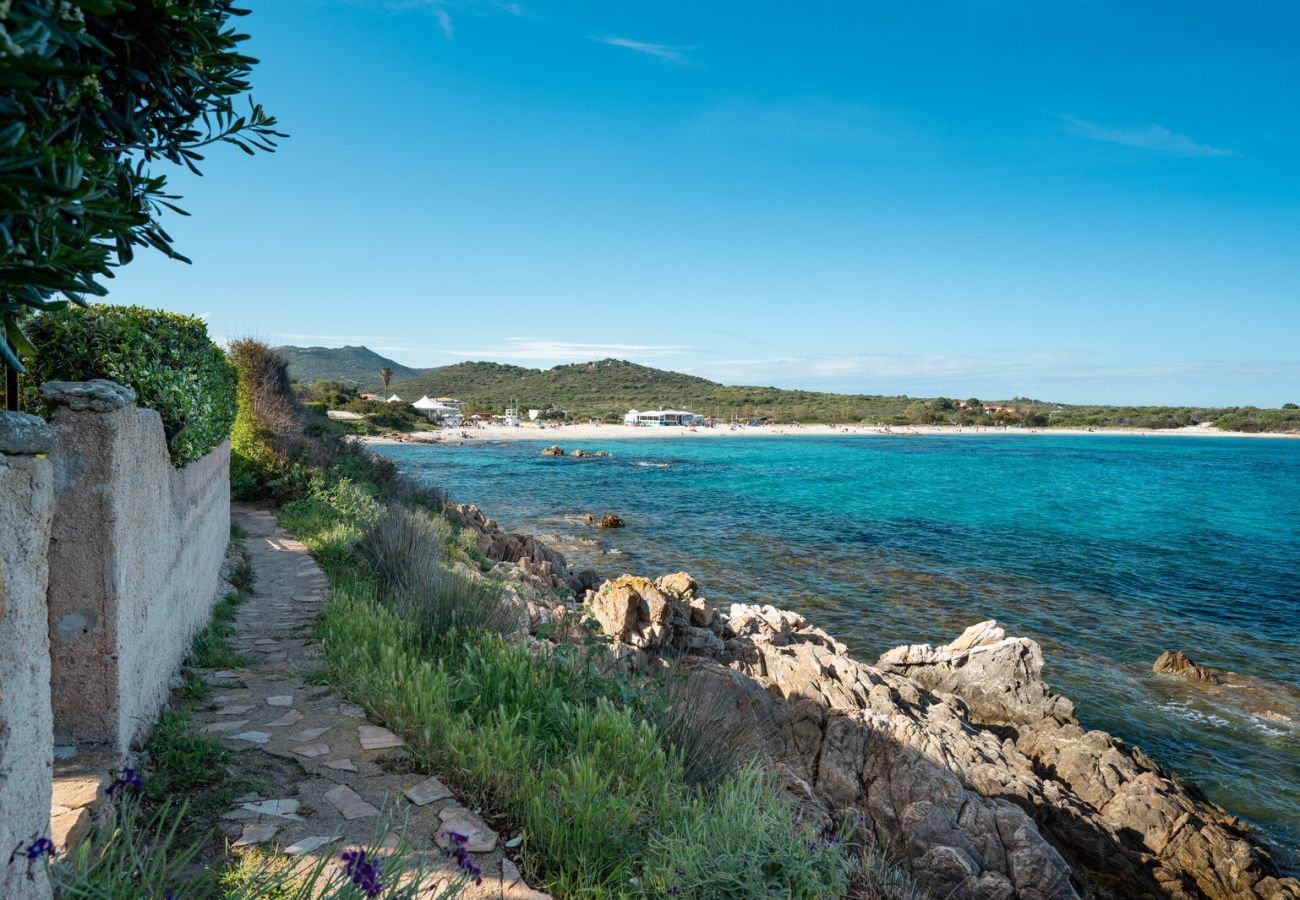 Appartamento a Olbia - Lazulino Suite