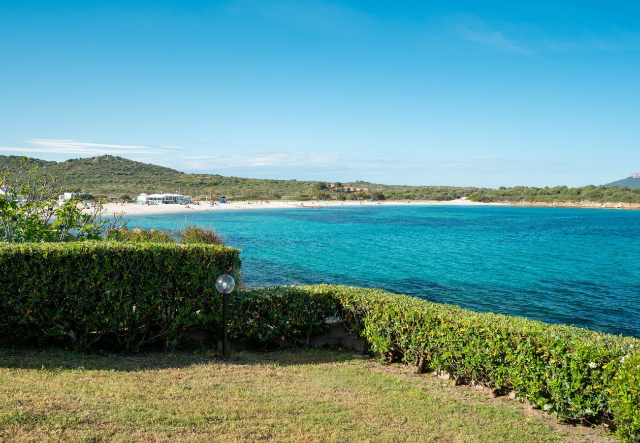 Appartamento a Olbia - Lazulino Suite