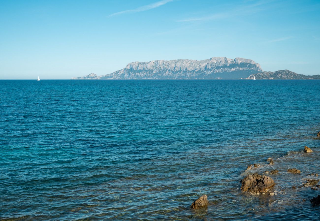 Appartamento a Olbia - Lazulino Suite