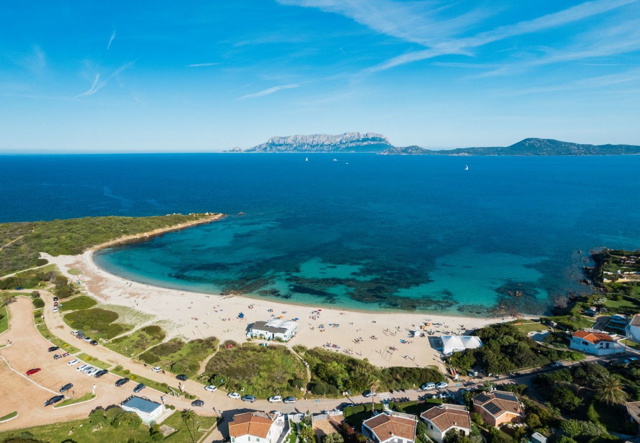 Appartamento a Olbia - Lazulino Suite