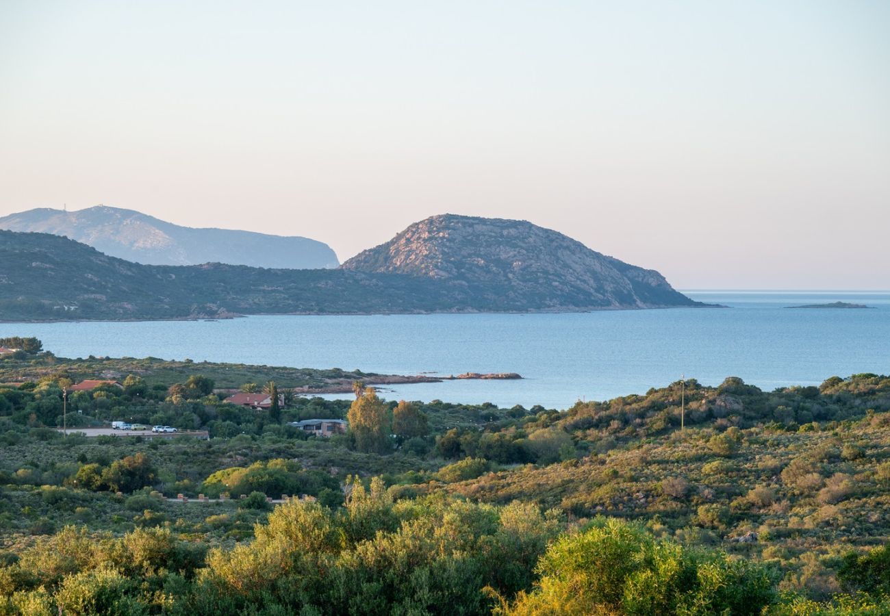 Villa a Porto San Paolo - Villa Pogelia