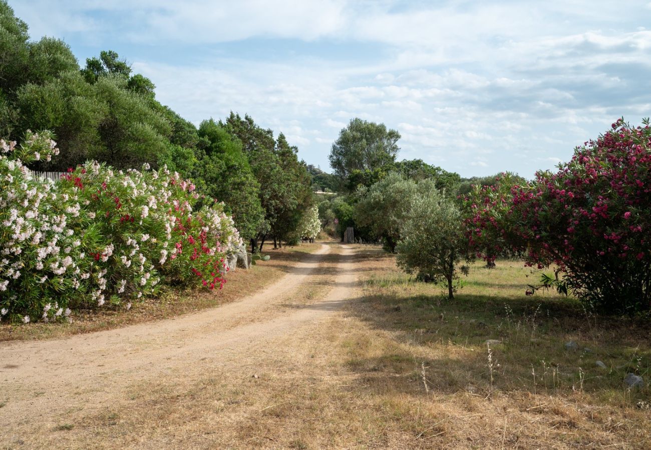Villa a Porto Rotondo - Villa Turalis