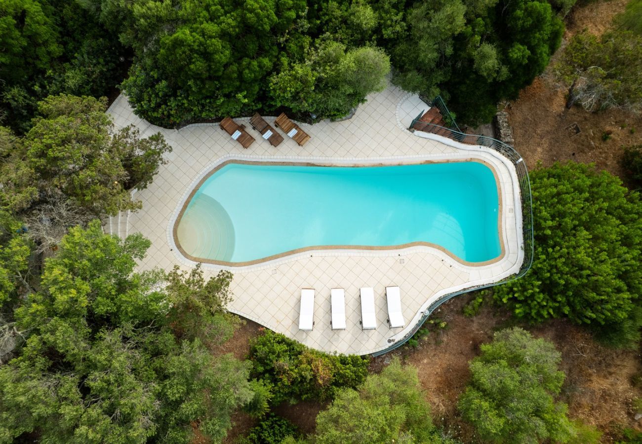 Villa a Porto Rotondo - Villa Turalis