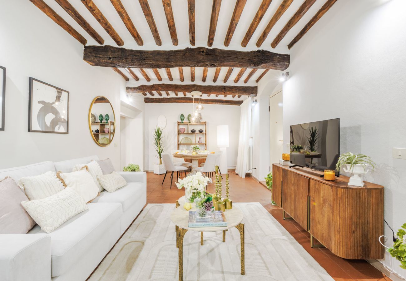 Appartamento a Lucca - The Hidden Alley Apartment