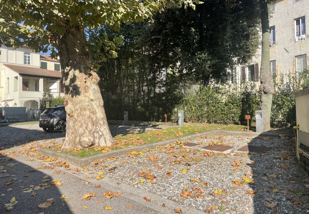 Appartamento a Lucca - Verdi 1928, A Cozy Wallside Retreat