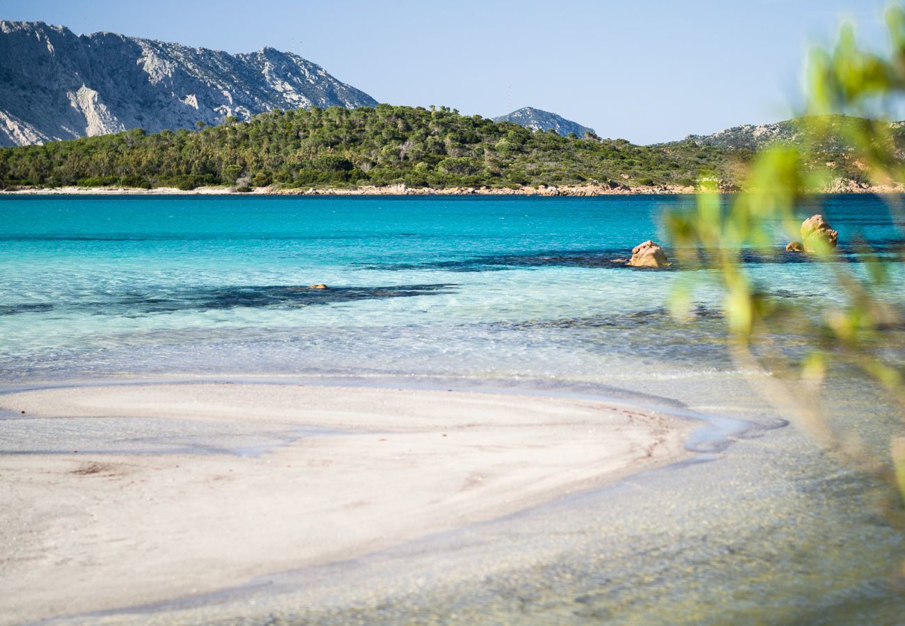 Villa a San Teodoro - Villa Luciva