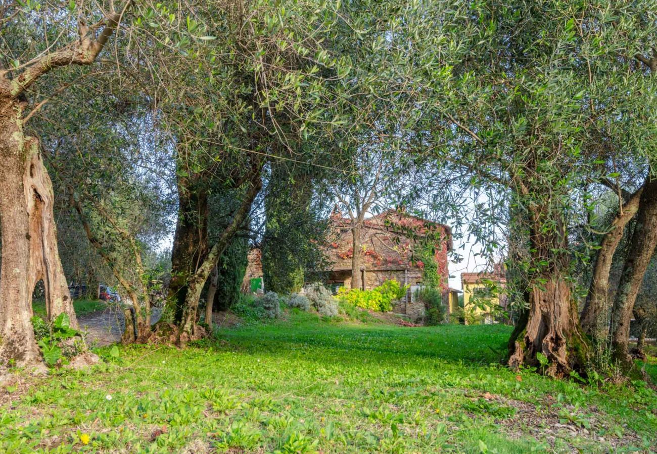 Villa a San Lorenzo di Moriano - Uva Cottage Farmhouse