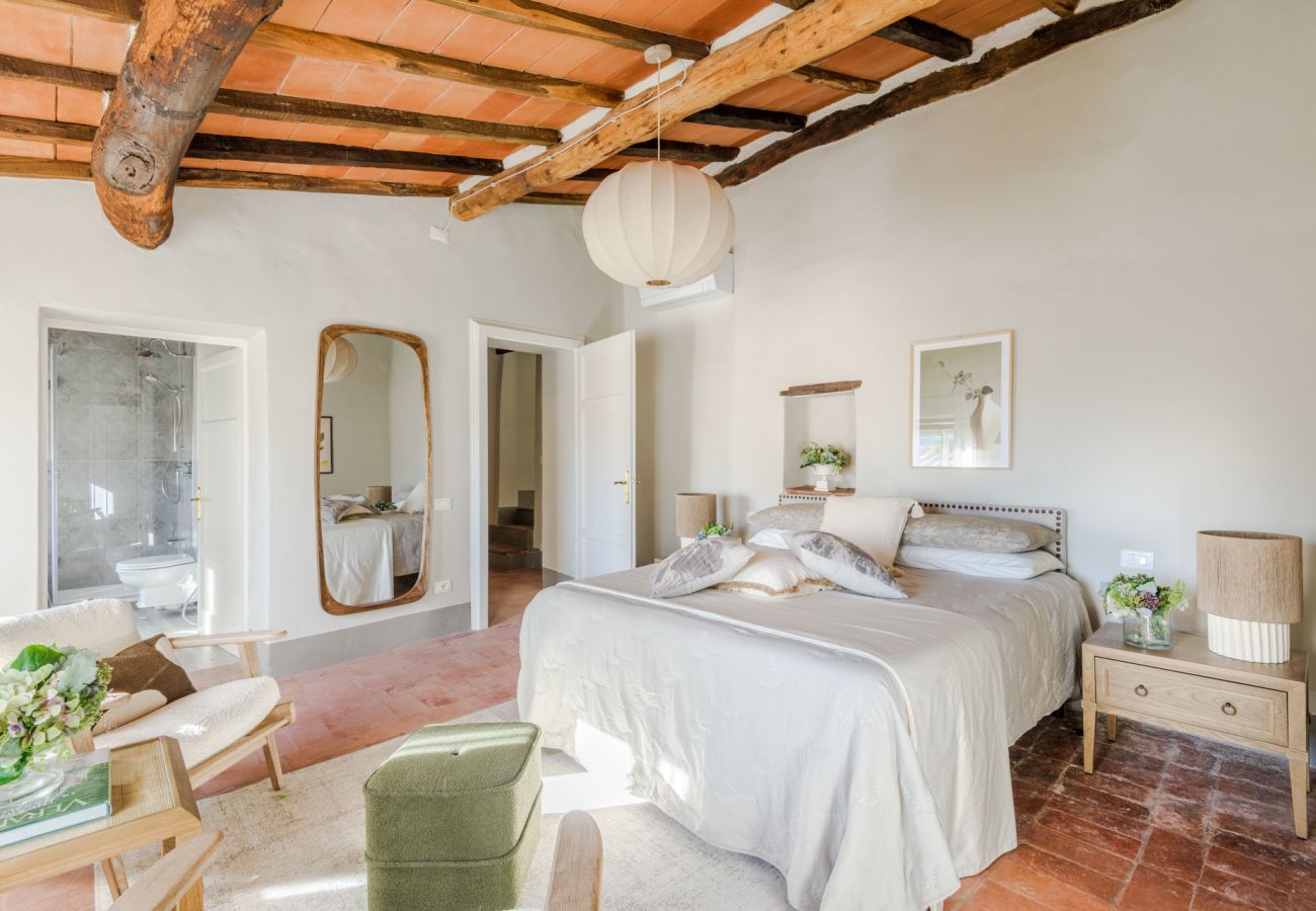 Villa a San Lorenzo di Moriano - Uva Cottage Farmhouse