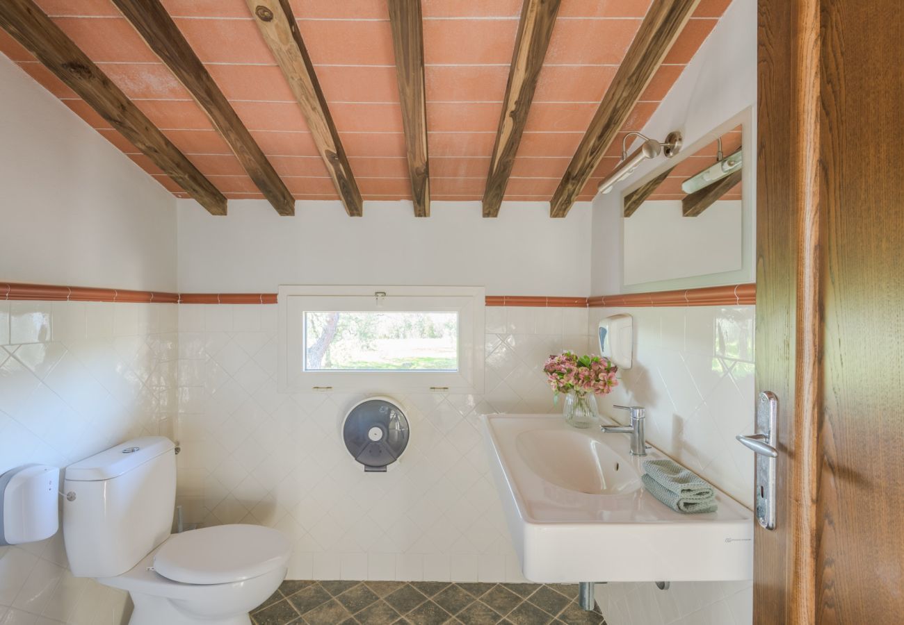 Villa a Capannori - Corte Benedetto