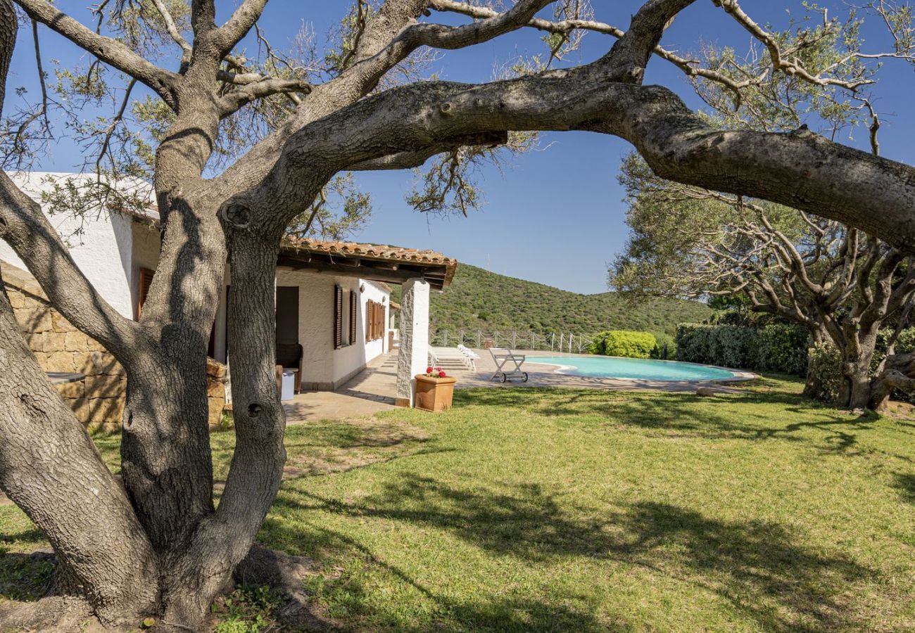 Villa a San Pantaleo - Villa Junia