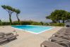 Ferienwohnung in Lazise - BREZZA DI LAGO 1