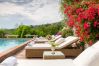 Villa in Capannori - Villa Il Palagio Villa in Capannori - Villa Il Palagio