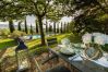 Villa in Lucca - Villa D'Amico Villa in Lucca - Villa D'Amico