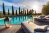 Villa in Lucca - Villa D'Amico Villa in Lucca - Villa D'Amico