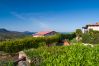 Chalet in Porto San Paolo - Laura's Terrace Chalet in Porto San Paolo - Laura's Terrace