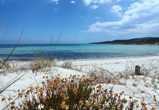 Ferienwohnung in Olbia - Maestrale Flat - direkt vor dem Strand von Lo Squalo