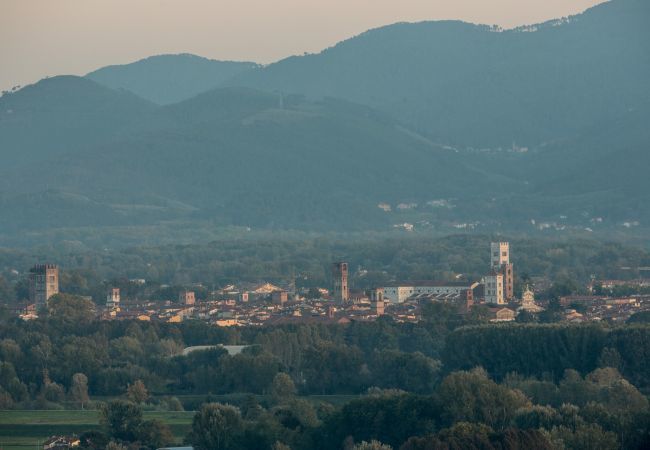 Villa in Lucca - Villa Alberta Villa in Lucca - Villa Alberta