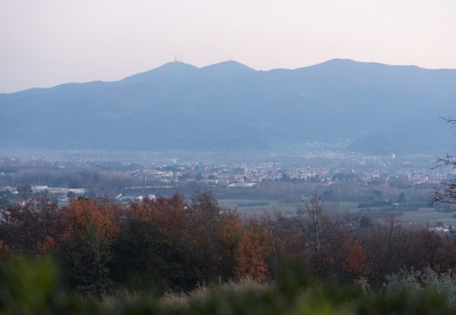 Villa in Lucca - Villa Alberta Villa in Lucca - Villa Alberta