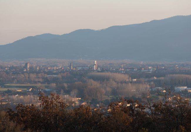 Villa in Lucca - Villa Alberta Villa in Lucca - Villa Alberta
