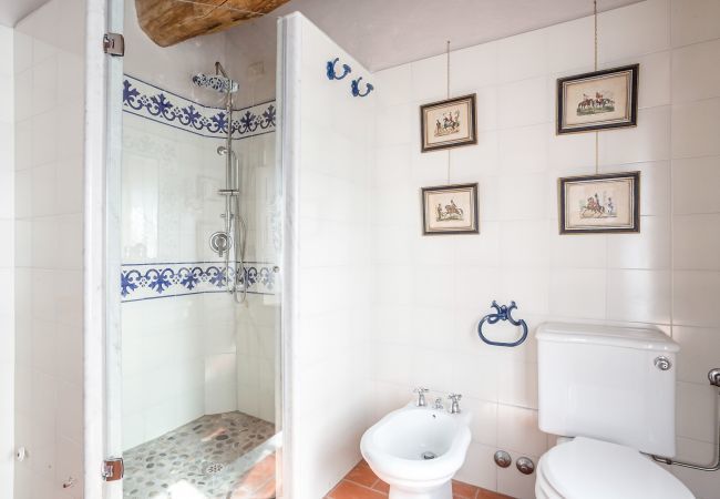 Villa in Capannori - Villa Il Palagio Villa in Capannori - Villa Il Palagio