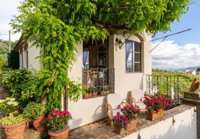 Villa in Capannori - Villa Valgiano Villa in Capannori - Villa Valgiano