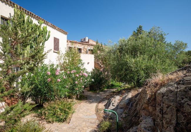 Ferienwohnung in Porto Rotondo - Caletta Nest 108 Ferienwohnung in Porto Rotondo - Caletta Nest 108