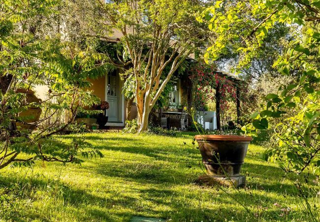 Villa in Lucca - Villa D'Amico Villa in Lucca - Villa D'Amico