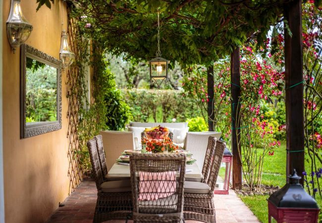 Villa in Lucca - Villa D'Amico Villa in Lucca - Villa D'Amico