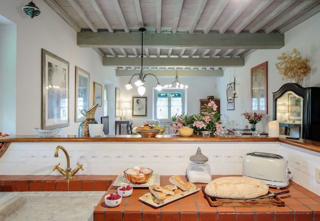 Villa in Lucca - Villa D'Amico Villa in Lucca - Villa D'Amico