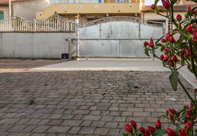 Chalet in Olbia - Domus Tilibbas Chalet in Olbia - Domus Tilibbas