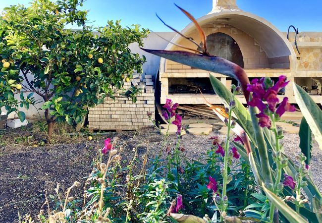 Chalet in Olbia - Domus Tilibbas Chalet in Olbia - Domus Tilibbas