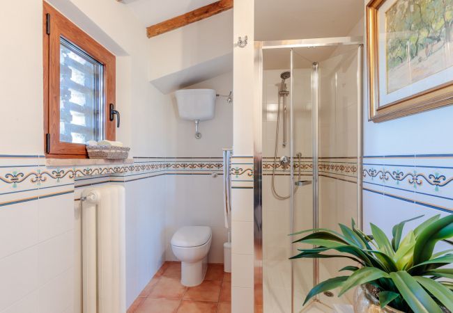 Villa in Fabbrica - Villa Lajatico Villa in Fabbrica - Villa Lajatico