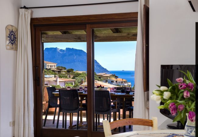 Villa in Olbia - Villa Majra Villa in Olbia - Villa Majra