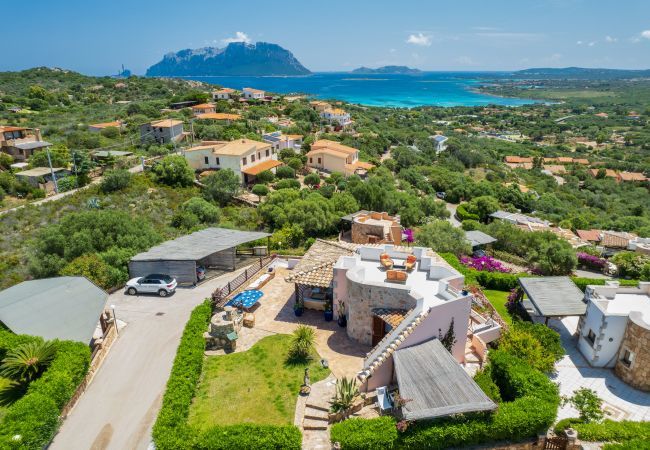 Villa in Olbia - Villa Majra - fantastischer Pool mit Blick auf Tavolara