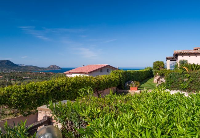 Chalet in Porto San Paolo - Laura's Terrace - Reihenhaus mit Meerblick