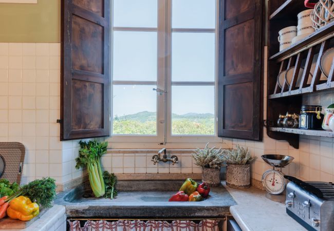 Villa in Lucca - Villa Borbone - perched on the Lucca Hills Villa in Lucca - Villa Borbone - perched on the Lucca Hills