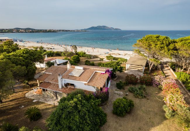 Villa in Olbia - Villa Bay Pine - direkter Zugang zum Pittulongu-Meer, wi-fi