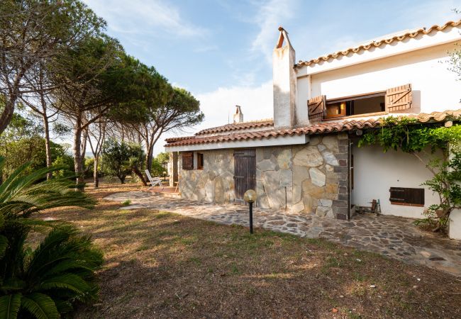 Villa in Olbia - Villa Bay Pine - direkter Zugang zum Pittulongu-Meer, wi-fi