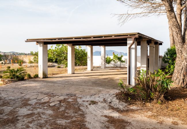 Villa in Olbia - Villa Bay Pine Villa in Olbia - Villa Bay Pine