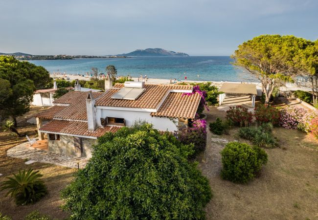 Villa in Olbia - Villa Bay Pine - direkter Zugang zum Pittulongu-Meer, wi-fi