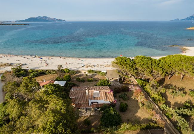 Villa in Olbia - Villa Bay Pine - direkter Zugang zum Pittulongu-Meer, wi-fi