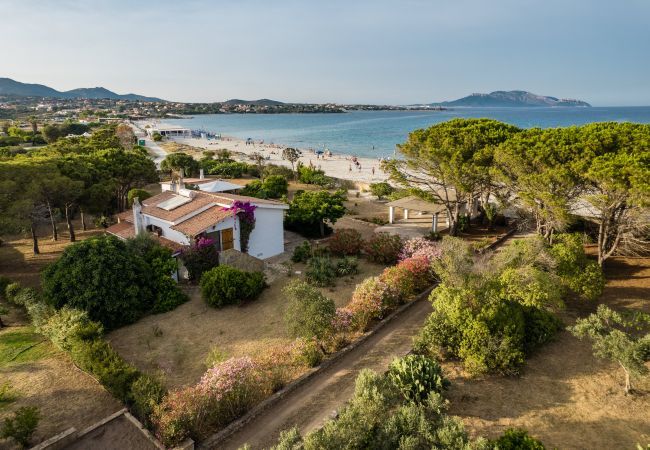 Villa in Olbia - Villa Bay Pine - direkter Zugang zum Pittulongu-Meer, wi-fi