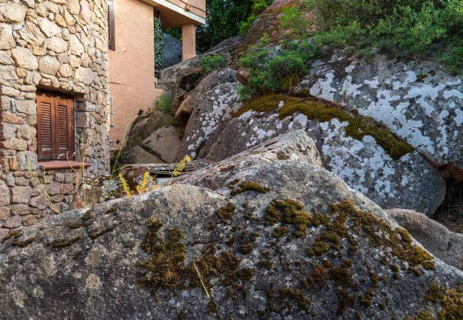 Ferienwohnung in Porto Rotondo - I Lecci 3 - Terrasse mit Meerblick und Privatsphäre in Porto Rotondo