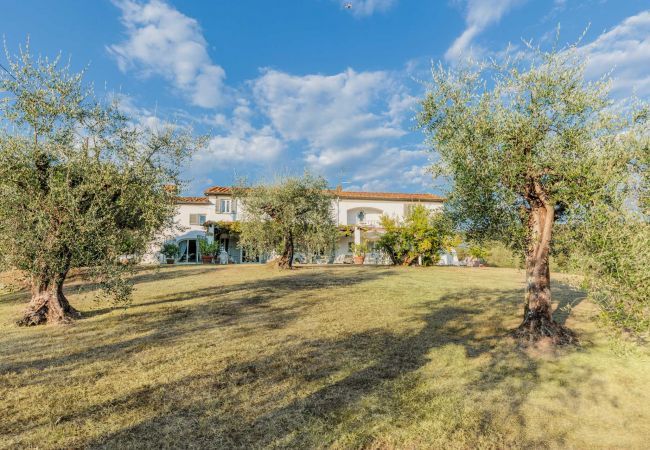 Villa in Capannori - Villa Noa, a Private Retreat with View Villa in Capannori - Villa Noa, a Private Retreat with View