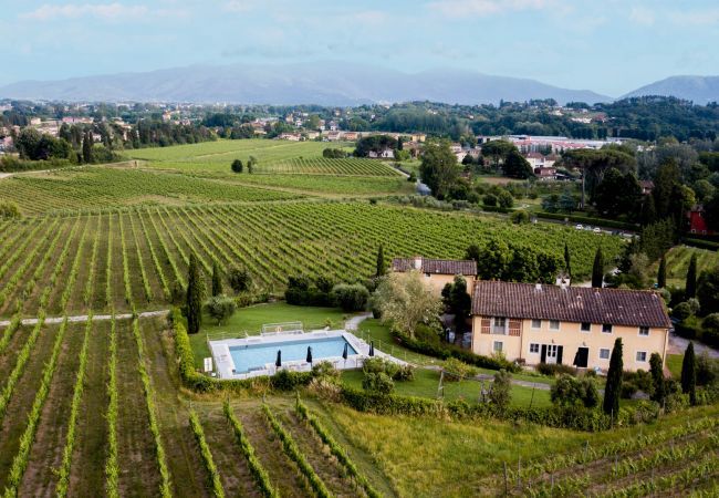 Villa in Monte San quirico - 3 Bedrooms Farmhouse with Shared Pool in the Fattoria Sardi Wine Resort in Lucca