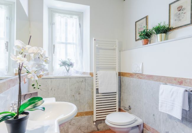 Ferienwohnung in Monte San quirico - Elisa Farmhouse Apartment in Wine Resort Ferienwohnung in Monte San quirico - Elisa Farmhouse Apartment in Wine Resort