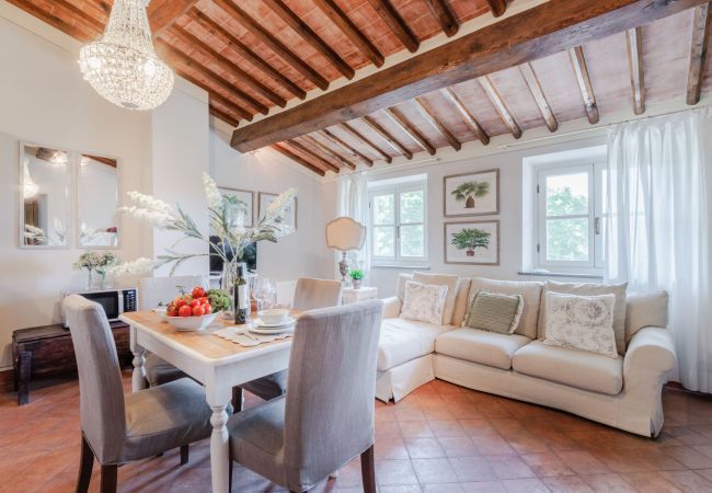 Ferienwohnung in Monte San quirico - Anna Farmhouse Apartment in Wine Resort in Lucca Ferienwohnung in Monte San quirico - Anna Farmhouse Apartment in Wine Resort in Lucca